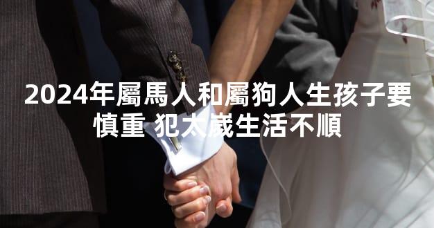 2024年屬馬人和屬狗人生孩子要慎重 犯太嵗生活不順